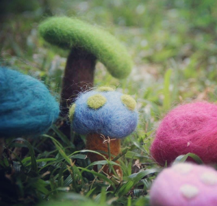 IMG_20201104_112429_39